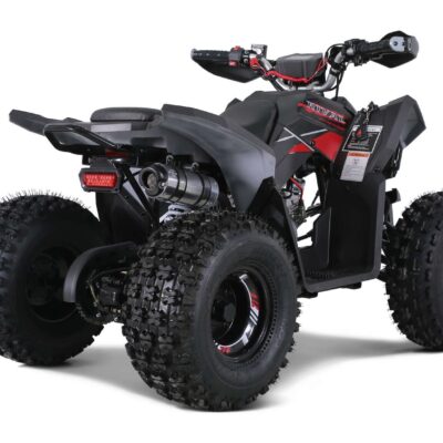 TAO REX 125