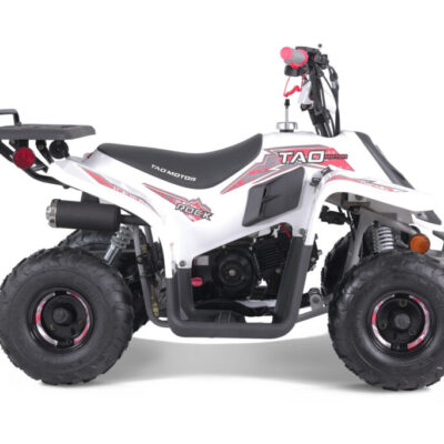 TAO ROCK 110cc AUTOMATIQUE / RECULON